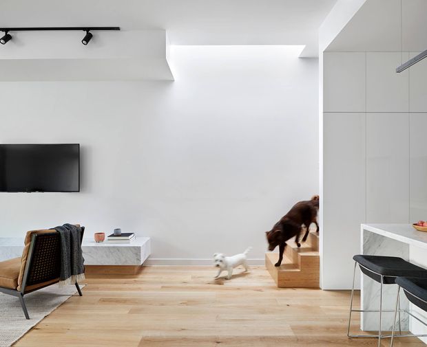 Bright, minimalist open-plan interior showing a living room connected to a compact kitchen. The space has white walls and built-in cabinetry, light timber flooring, a wall-mounted television, a low marble-look media console, and a small kitchen island with dark stools. A short set of timber steps leads to another level, while pets are visible in the room.