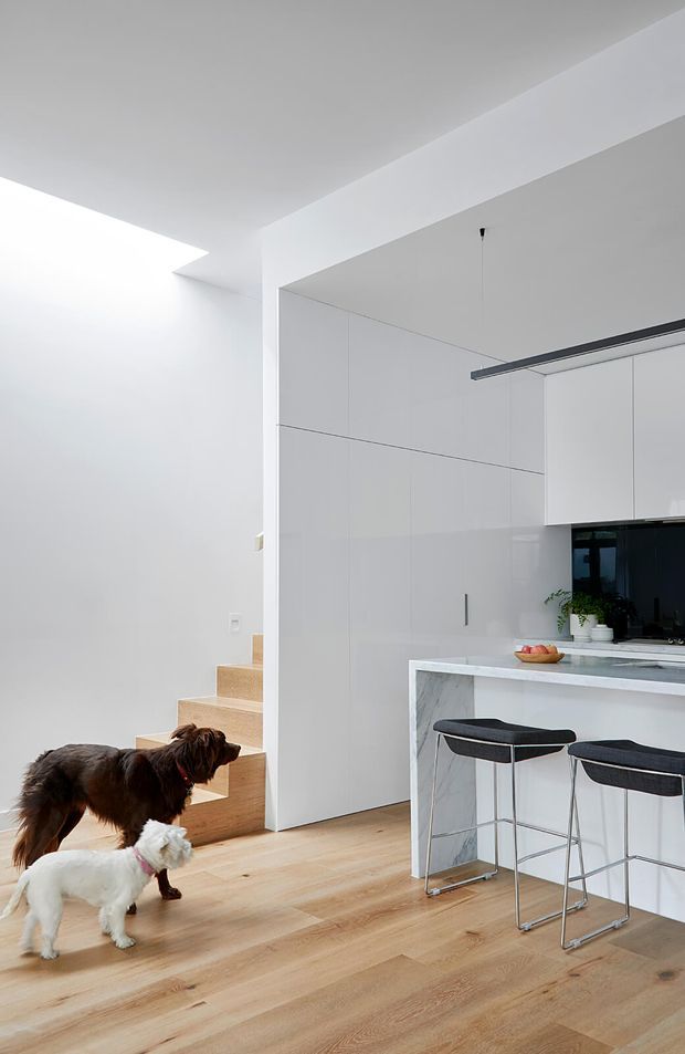 Bright, minimalist open-plan kitchen with white full-height cabinetry, a white stone island with a veined waterfall edge, integrated dark appliances, pale timber flooring, and a slim linear pendant light. A timber staircase rises beside the kitchen, while two bar stools sit at the island. Two dogs are visible in the foreground.