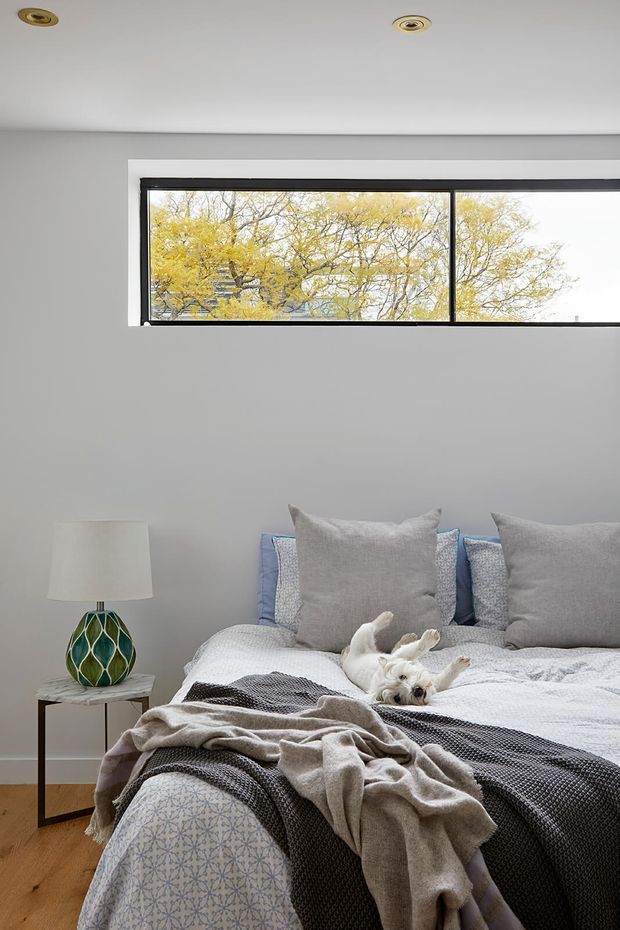 A bright, calm bedroom with a neatly styled bed beneath a long horizontal black-framed window. The room has light grey walls, pale timber flooring, layered grey and cream bedding, and a small side table with a decorative patterned lamp. A small dog rests on the bed, while leafy trees are visible through the window.