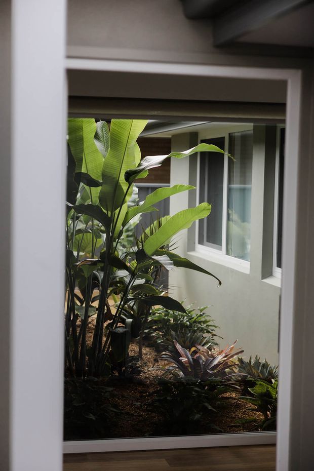 View through an interior doorway or glazed opening into a narrow planted courtyard. Lush tropical foliage fills the garden bed beside a muted grey-green building wall with white-framed windows. The foreground has white trim and a timber-toned floor, creating a strong indoor-to-outdoor connection with subdued natural light.