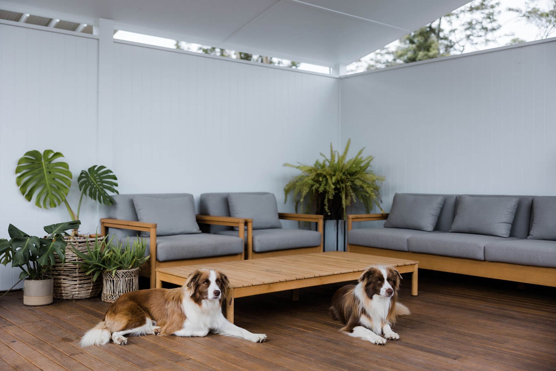 MAITLAND ROAD RENOVATION/EXTENSION