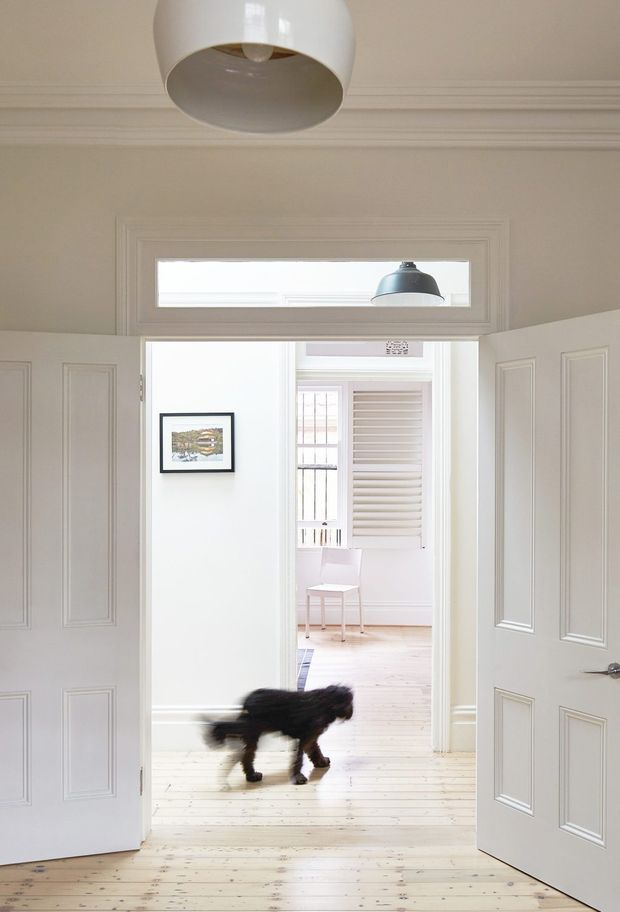 Bright, refined interior view through open paneled double doors into a light-filled adjoining room. The space features white painted walls and doors with traditional moulded detailing, a high decorative cornice, pale timber floorboards, a transom window above the doorway, and simple pendant lights. A white chair, shuttered window, framed artwork, and a blurred black dog are visible in the background and foreground.