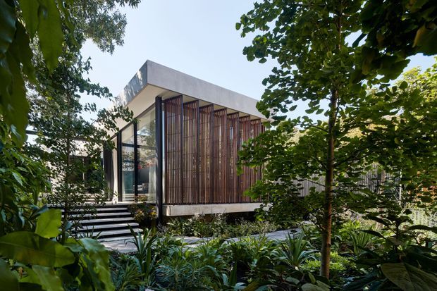 A modern, elevated pavilion-like house surrounded by dense tropical landscaping. The building has a rectilinear flat roof, extensive floor-to-ceiling glazing, dark slender window frames, and a prominent vertical timber-screen facade. A stepped path leads through the planted garden toward the glass entry.