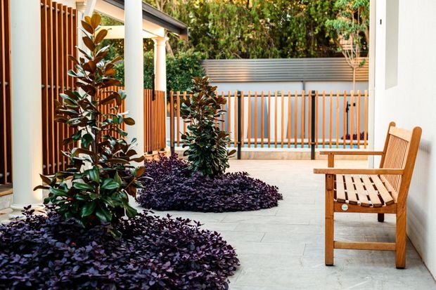 A landscaped courtyard or covered outdoor terrace with pale tiled paving, white structural columns and walls, warm timber vertical screens and balustrades, dense green planting, and dark purple groundcover beds. A simple timber slatted bench sits along the right wall, creating a calm contemporary garden setting.