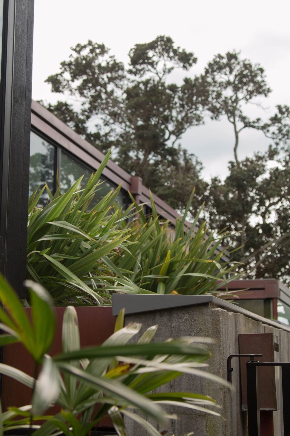 Takapuna Green Roof