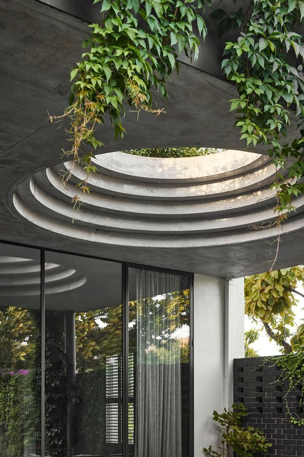 Exterior architectural detail of a contemporary residence featuring a sculptural circular concrete roof opening or light well with layered curved edges. Dense climbing greenery cascades around the opening, while dark-framed floor-to-ceiling glazing, a white rendered structural wall, and a dark brick privacy wall appear below and beside it. The image emphasises the relationship between concrete structure, planted elements, and natural light.