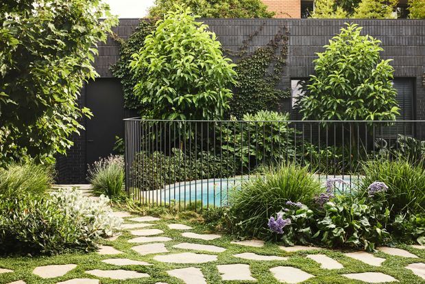 A lush landscaped courtyard garden with irregular pale stepping stones set through low grass and planting beds. Dense layered greenery, ornamental grasses, flowering shrubs, and mature trees surround a small turquoise swimming pool enclosed by a slender black metal safety fence. A dark, textured residential facade with vertical screening forms the backdrop.