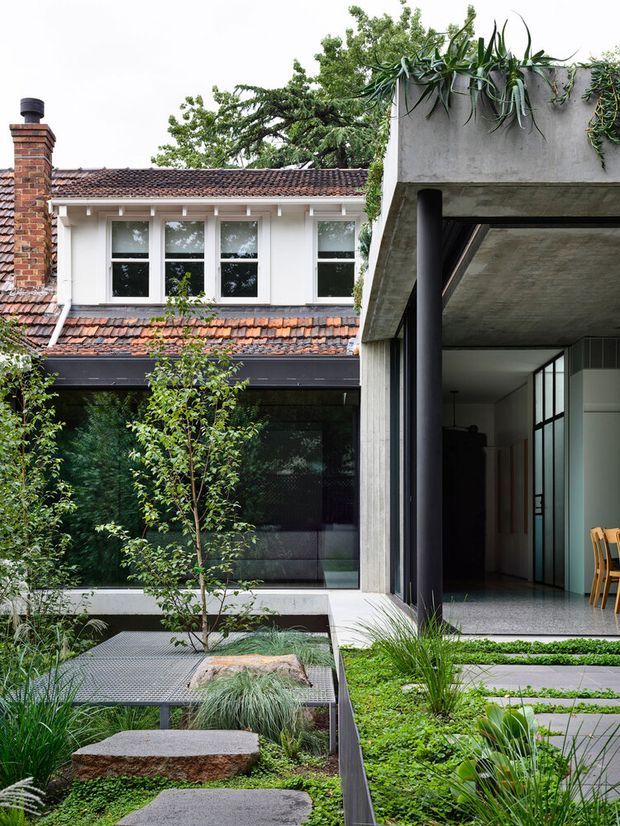 A courtyard view of a contemporary extension adjoining a traditional brick-and-tile dwelling. The composition features a raw concrete cantilevered roof and column, extensive dark-framed glazing, a sheltered entry or dining area, and a layered planted courtyard with stepping stones, grasses, and a raised garden bed. The original house has white-painted walls, sash-style windows, exposed brickwork, and terracotta roof tiles, creating a strong contrast between heritage fabric and modern concrete construction.