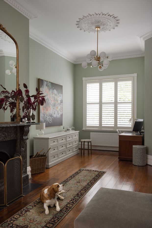 A refined living room with sage green walls, polished timber flooring, ornate white ceiling cornices and a decorative ceiling rose. A classical marble fireplace with an ornate mirror anchors the left side, while a white chest of drawers, desk, timber furniture and a patterned runner furnish the room. A sculptural globe chandelier hangs centrally, and plantation shutters cover the tall window. A dog is lying on the rug in the foreground.
