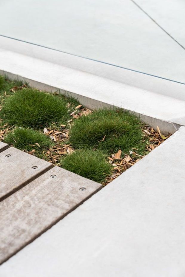 Close-up view of a minimalist landscaped outdoor path or terrace, featuring pale concrete paving with crisp linear joints, inset garden beds containing rounded tufts of ornamental grass and wood-chip mulch, and a timber boardwalk section with visible fasteners.