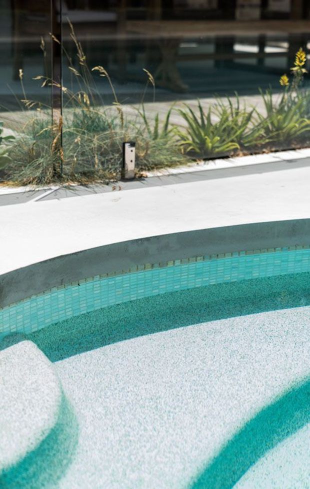 Close-up view of a curved swimming pool edge with turquoise mosaic tile lining, pale textured pool interior, and a light concrete deck. A glazed wall and planted garden bed with grasses and architectural foliage sit behind the pool.