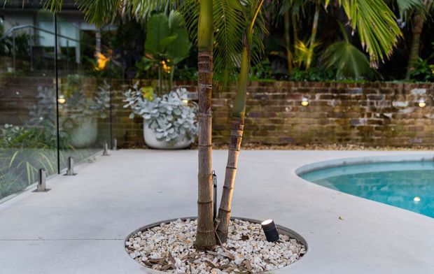 A landscaped poolside terrace with a smooth pale concrete deck, a curved swimming pool, tropical palm trees planted in a circular gravel bed, glass balustrading, and a weathered brick boundary wall with small integrated lights.