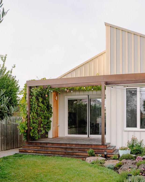 Exterior view of a contemporary residential extension with a timber pergola and raised timber deck leading to large sliding glass doors. The facade combines pale vertical cladding with a contrasting warm timber-framed outdoor structure. Climbing greenery covers a trellis beside the entry, with steps, lawn, garden planting, and a timber boundary fence in the foreground.