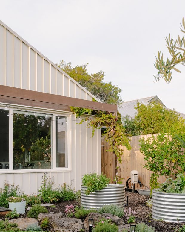 A landscaped residential courtyard beside a compact light-coloured clad building. The exterior has vertical panel cladding, a sloping roof form, large sliding glazing, a dark timber-like horizontal beam, and string lights. Raised corrugated metal garden beds, planted borders, timber fencing, and climbing greenery create a lush garden setting.
