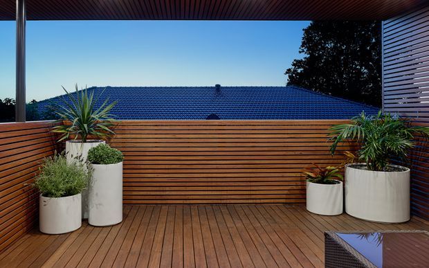 A contemporary timber-lined rooftop or upper-level terrace with warm horizontal slatted privacy screening, timber decking, and large white cylindrical planters containing architectural green plants. A blue tiled pitched roof and mature trees are visible beyond the screen. The terrace has a covered soffit with dark linear battens and a modern louvred screen at the right.