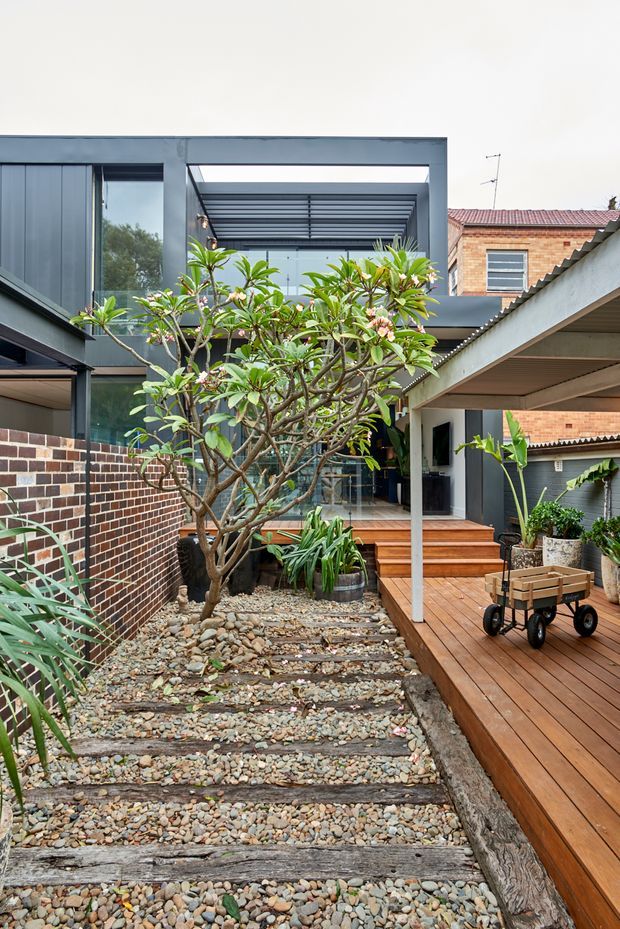 A landscaped residential courtyard viewed from outdoors, featuring a pebble-and-timber stepping path, raised timber deck, mature frangipani tree, brick boundary wall, and a contemporary two-storey extension with dark-framed glazing and a covered pergola. A neighbouring brick building is visible beyond the courtyard.