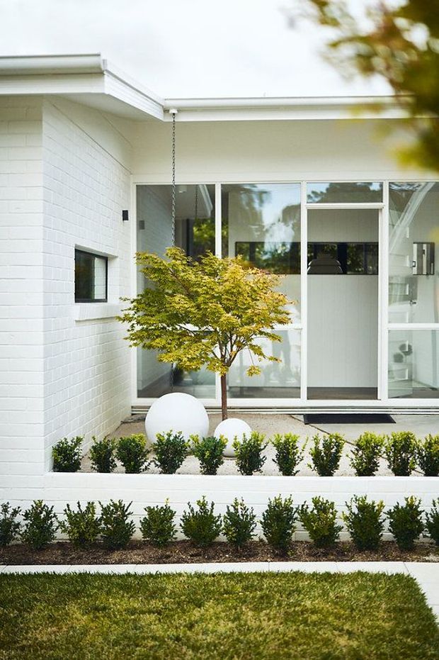 A bright, low-rise residential courtyard exterior with crisp white painted brick walls, a flat roof with simple white fascia, and expansive white-framed glazed doors and windows. A landscaped forecourt features clipped box hedges, a small Japanese maple, white spherical garden ornaments, pale gravel, and neatly edged lawn. The glazing offers limited views into a clean, modern interior.