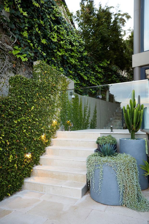 An exterior garden stairway leading up beside a modern building, with pale stone or concrete paving and steps, glass balustrades, lush ivy-covered walls, clipped greenery, and large cylindrical planters containing cacti and succulents. The setting feels private, refined, and strongly landscaped.