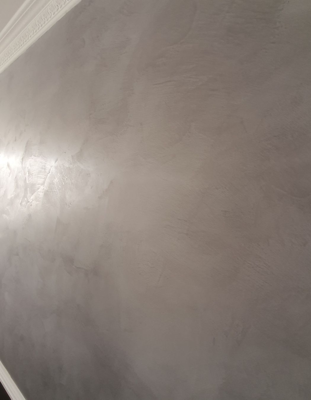 Venetian Plaster - Feature Wall