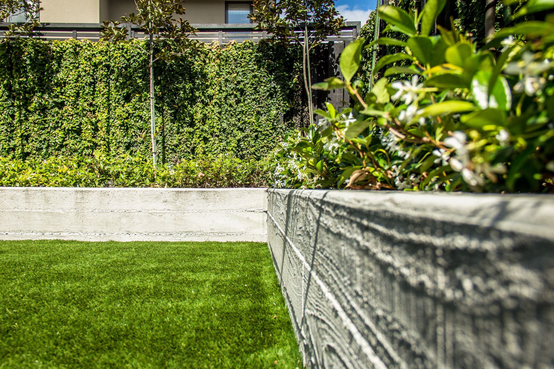 Puppy-proof Lawn in Christchurch