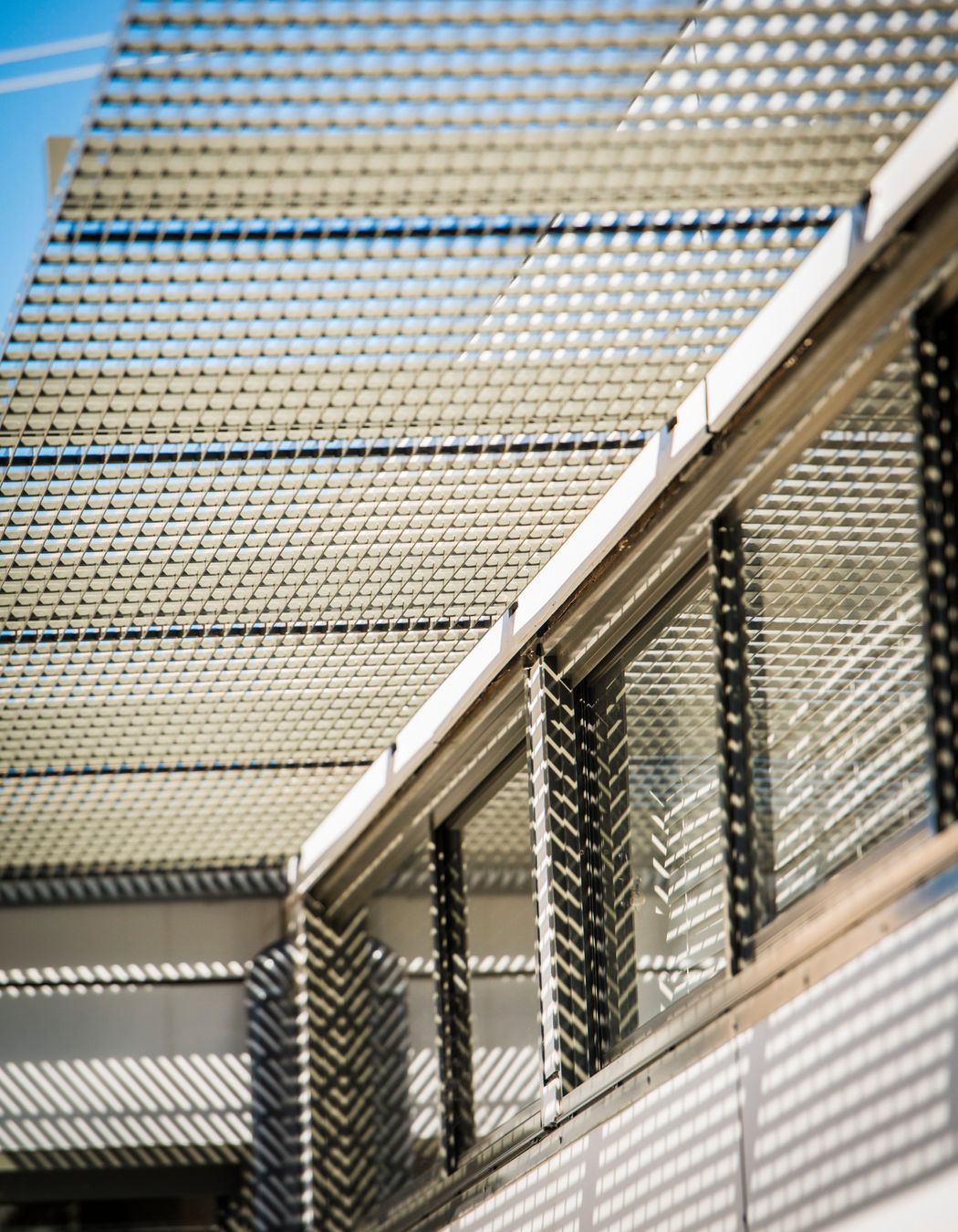 Birchgrove Renovation