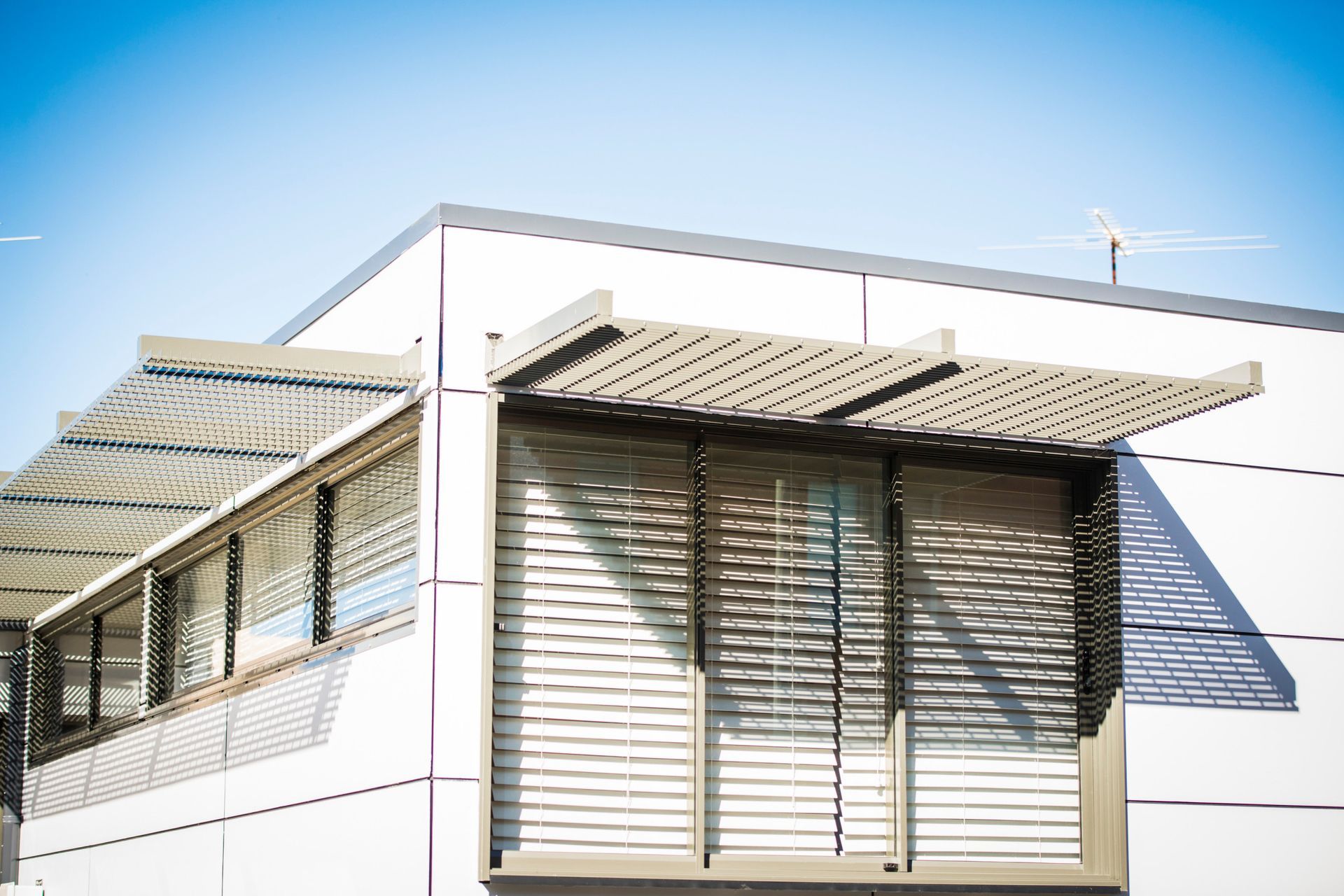 Birchgrove Renovation