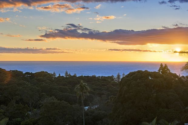 A panoramic coastal landscape viewed from an elevated vantage point, showing dense treetops in the foreground, the open ocean beyond, and a warm golden sunset near the horizon beneath layered clouds.