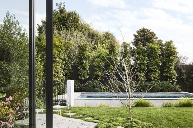 A bright landscaped backyard viewed through full-height glazing, featuring a narrow rectangular swimming pool, paved patio, white outdoor chairs, clipped hedges, ornamental grasses, and a young deciduous tree. Dark slender window or door frames create a strong vertical foreground edge, while dense planting provides privacy. The setting has a clean, contemporary garden composition with a calm indoor-outdoor connection.