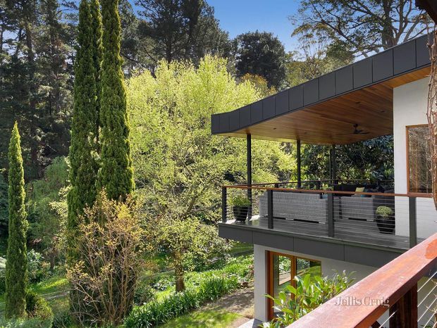 Exterior view of a contemporary multi-level home set within a lush, established garden. The house features a flat roof with deep timber-lined eaves, dark metal fascia, white rendered walls, large timber-framed glazing, and an elevated balcony with dark horizontal railings. Tall slender evergreens and mature trees surround the building.