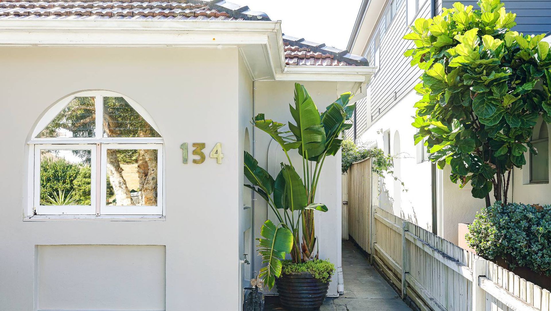 Blair Street North Bondi banner