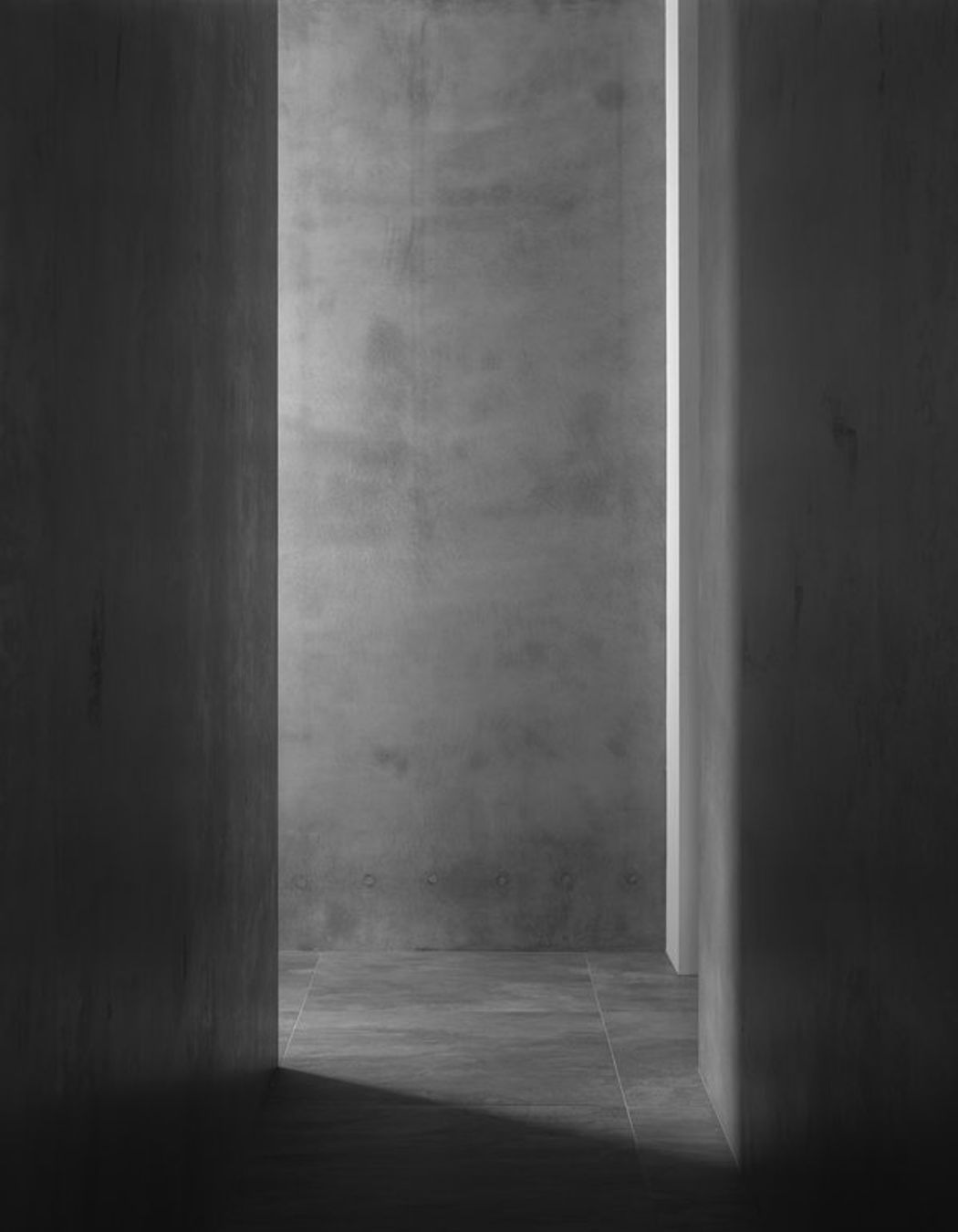 Lin House in Auckland