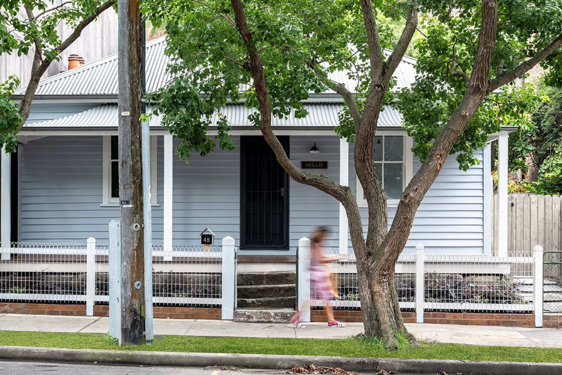 Mollie, North Sydney