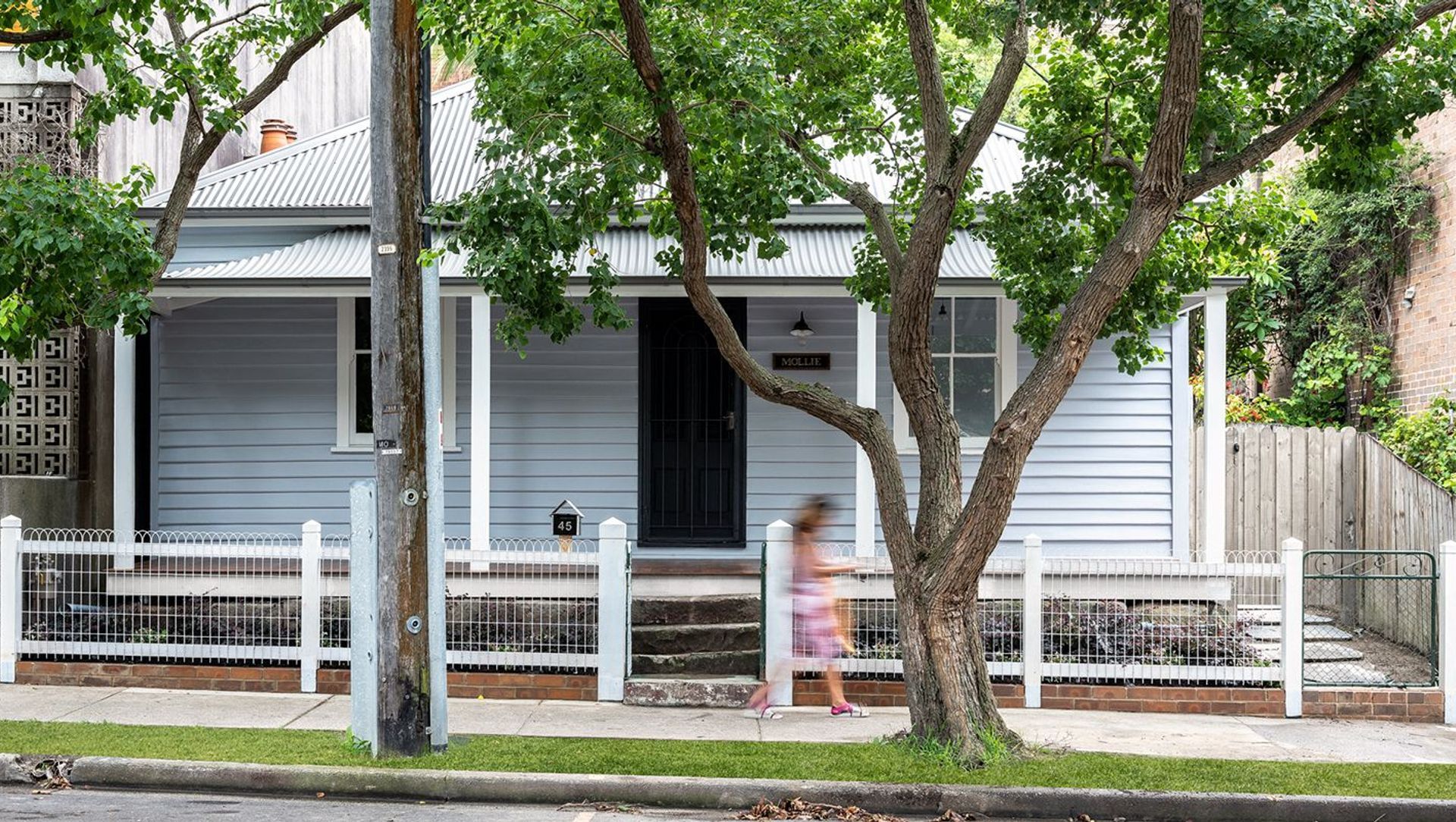 Mollie, North Sydney banner