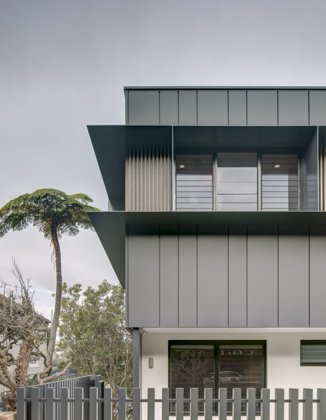 Mollie, North Sydney