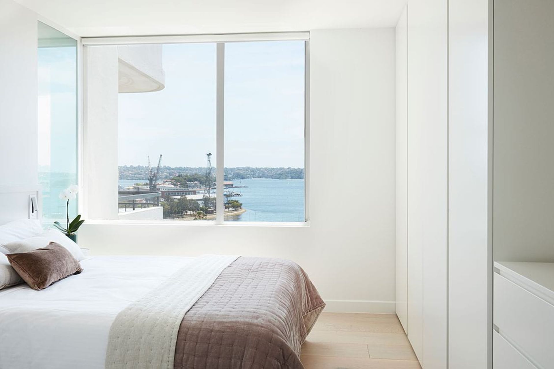 Elizabeth Bay Apartment