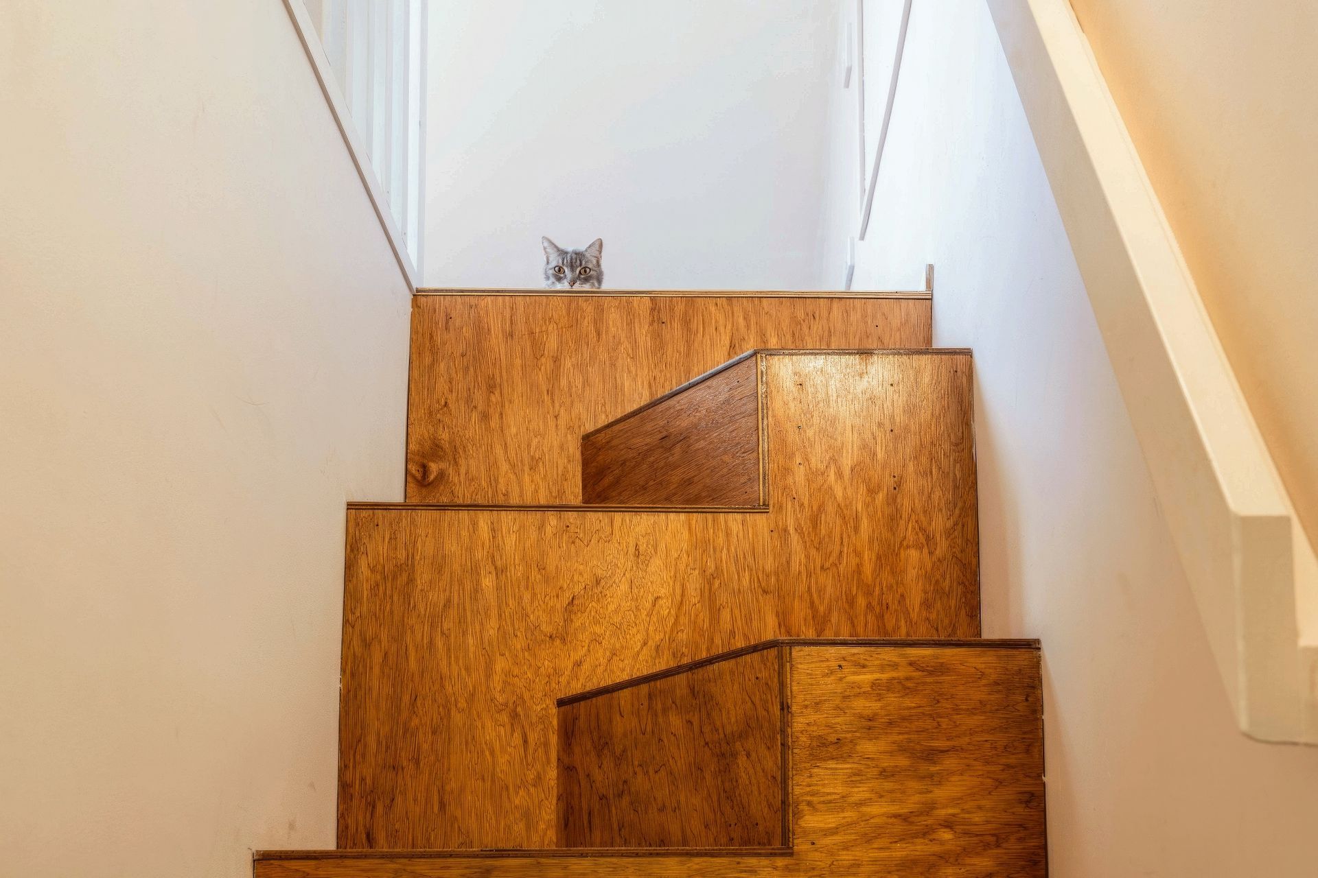 petersham-albany-project-stairs2-gigapixel-high-fidelity-1950w.jpeg