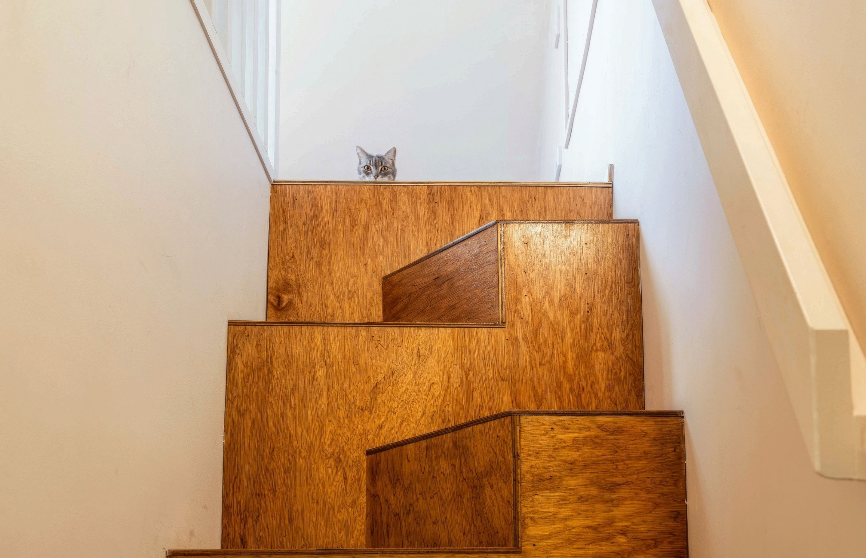 petersham-albany-project-stairs2-gigapixel-high-fidelity-1950w.jpeg
