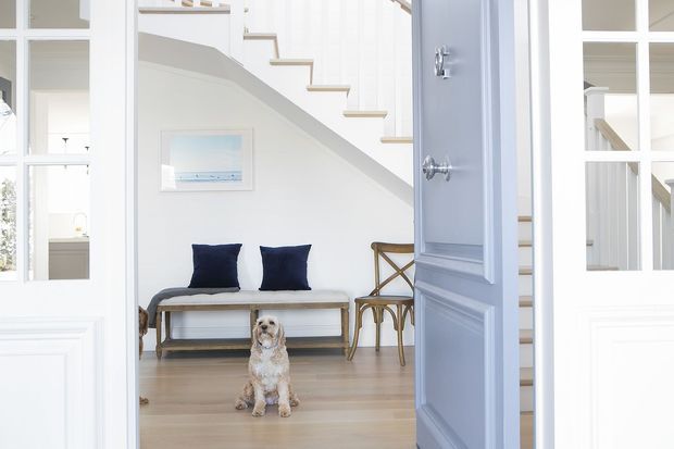 Bright coastal-style entry hall viewed through an open pale blue door, with white panelled walls and built-in cabinetry, light timber flooring, a staircase, a simple bench with navy cushions, and a small dog. The space feels airy and refined, with strong natural light and a glimpse of adjoining rooms through glazed openings.