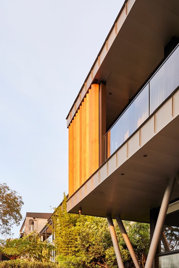 Low-angle exterior view of a contemporary multi-level building with projecting balcony slabs, slim dark-framed glazing, white facade panels, warm vertical timber screening, and angled structural columns. Lush established planting surrounds the building, with neighboring architecture visible in the background.