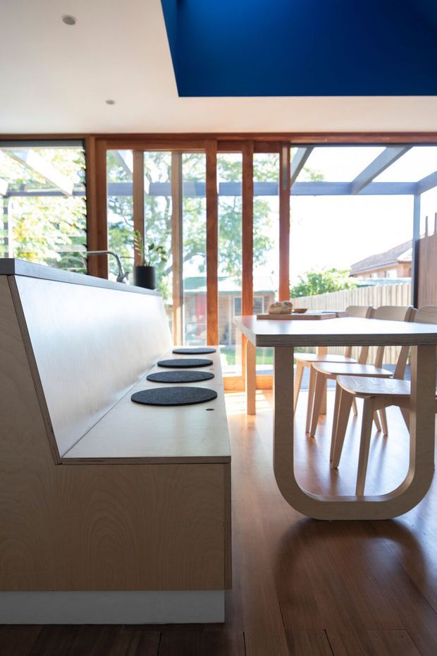 A bright contemporary dining and kitchen area with a sculptural built-in timber bench, integrated black cooktop elements, a light timber dining table with rounded U-shaped supports, and matching wooden chairs. Full-height timber-framed glazing opens the room to a garden, while a bold blue ceiling feature adds contrast. The floor is dark timber and the space has a warm, airy feel.