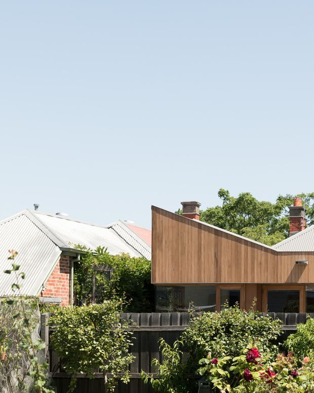 Exterior view of a contemporary timber-clad extension or house set among established suburban gardens. The building has a sharply pitched, asymmetrical roof form, dark glazing at ground level, and warm vertical timber cladding. Older neighbouring brick and corrugated-metal-roofed homes are visible behind it, with layered fencing and lush planting in the foreground.