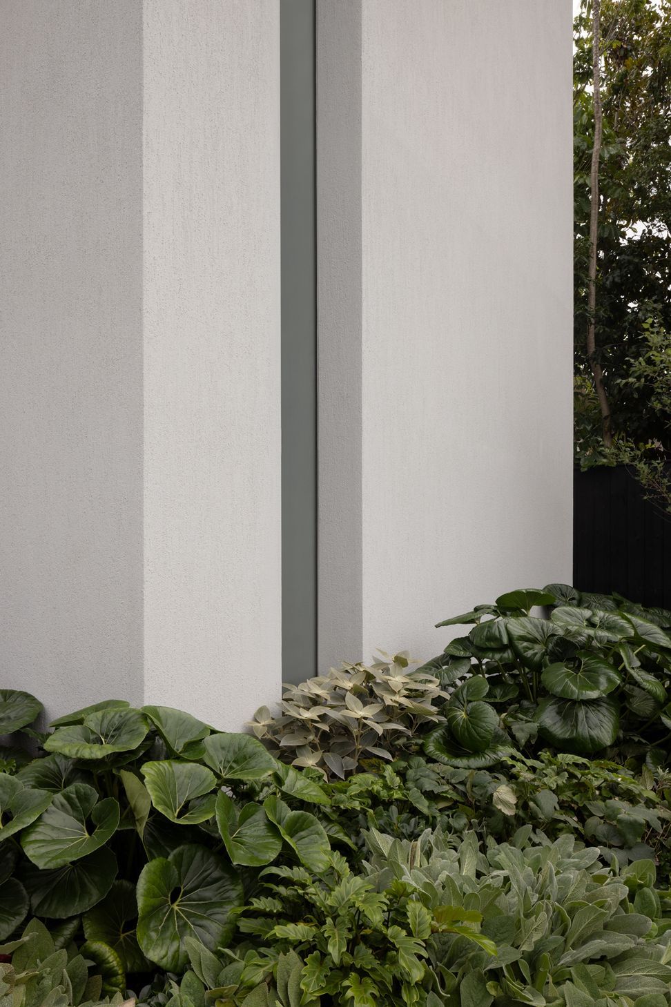 Kaye6100LR-v2.jpg