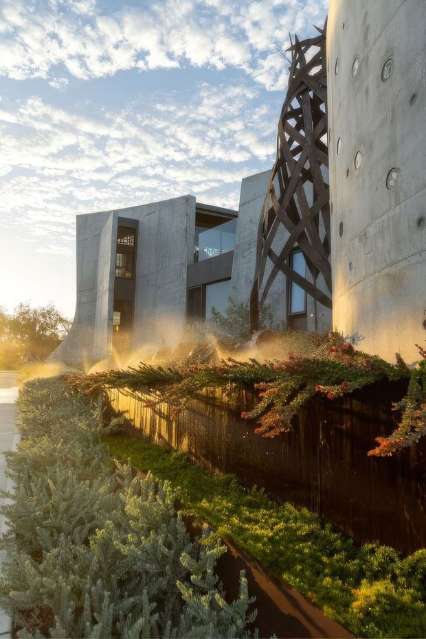 Exterior architectural photograph of a sculptural contemporary concrete building set within dense, drought-tolerant landscaping. The composition highlights tall raw concrete walls with circular form-tie marks, large glazed openings, and a dramatic dark timber lattice or structural screen rising along the facade. Warm low sunlight illuminates the planting, fence, and building edges beneath a partly cloudy sky.