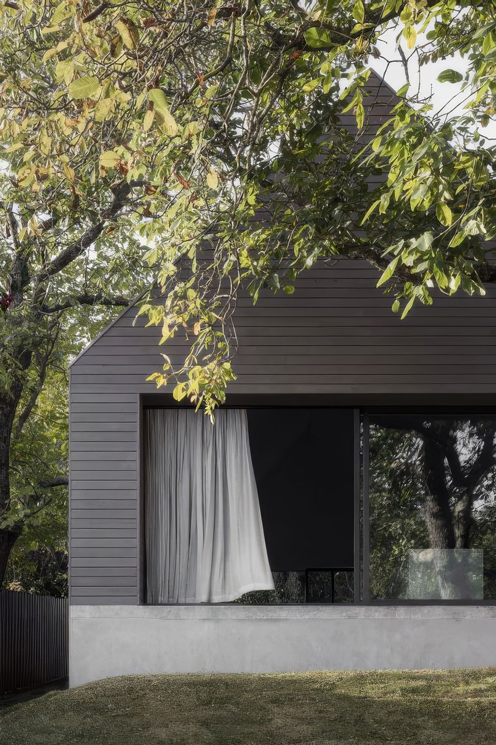 WalnutHouseAdamKaneArchitects3-web-480x720-upscaled-by-Replicate.jpg