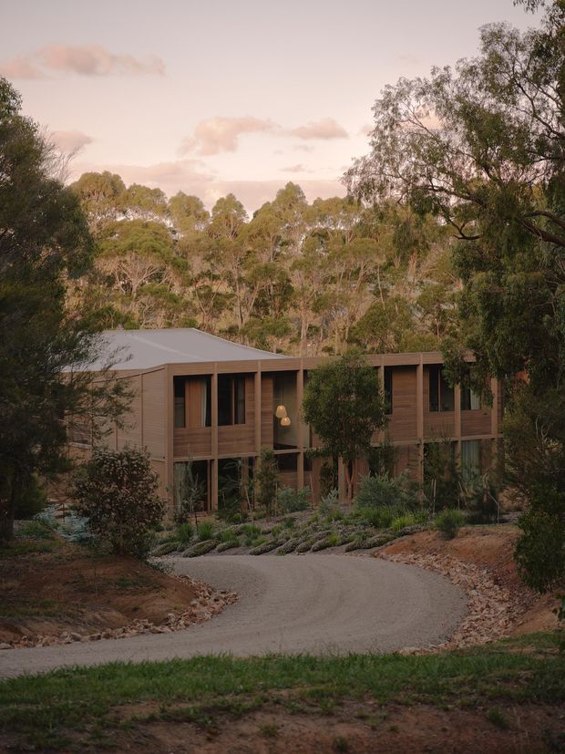 A modern timber-clad house set into a wooded, bushland landscape. The low-pitched roof and horizontally composed facade feature extensive dark-framed glazing, recessed balconies or covered walkways, and elevated sections above a landscaped gravel driveway. Warm evening light gives the scene a subdued, natural atmosphere.