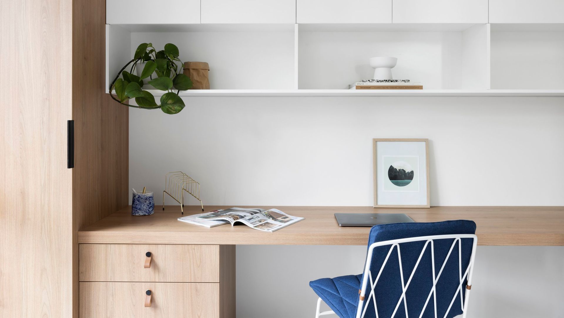 Project Pintail banner