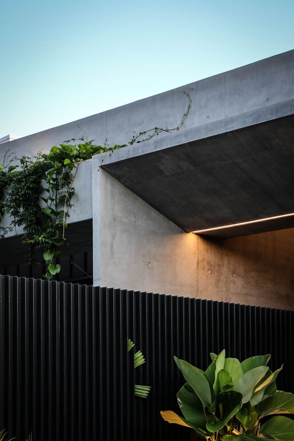 M Residence - Exterior. Concrete canopy with concealed lighting over the timber clad entry.