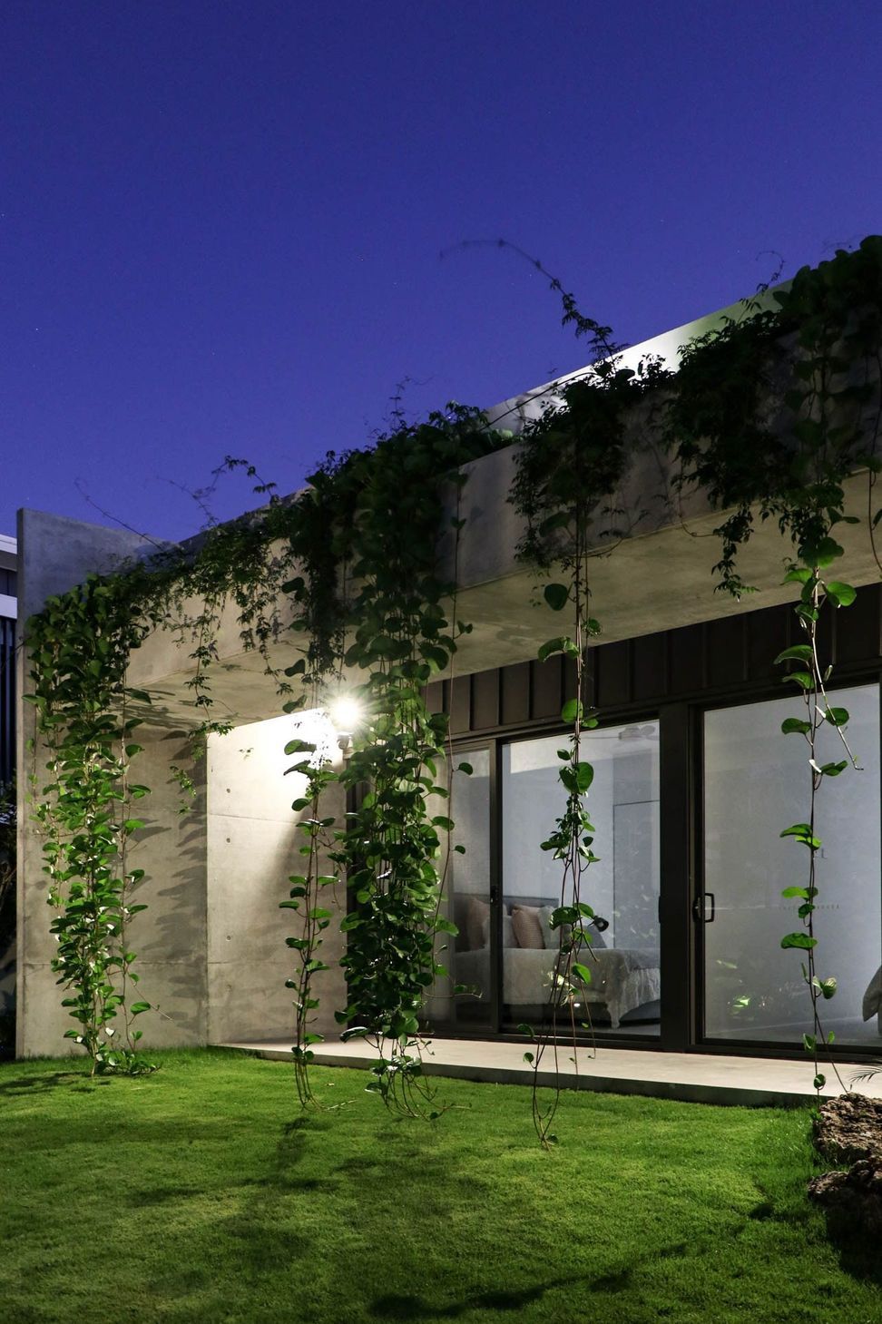 M Residence - Exterior. Vine draped concrete lit up at night.