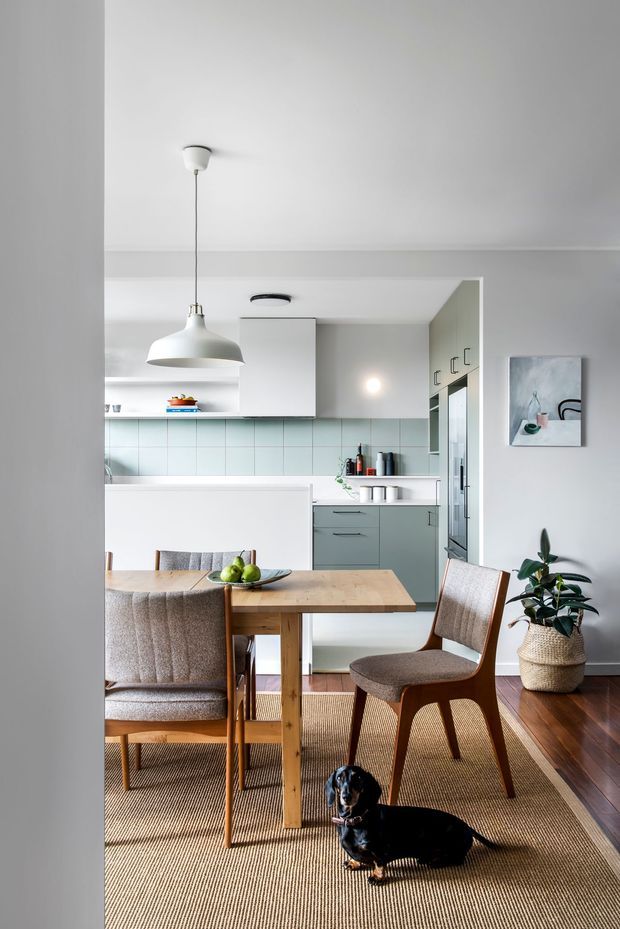 A bright, compact open-plan dining and kitchen interior. A timber dining table with upholstered mid-century-style chairs sits in the foreground over a large natural-fibre rug, with a small dog nearby. The kitchen behind features pale grey-green cabinetry, white upper cabinets, a pale tiled splashback, timber flooring, and a large white pendant light. The room has a restrained, warm, Scandinavian-inspired aesthetic with abundant daylight and neutral tones.