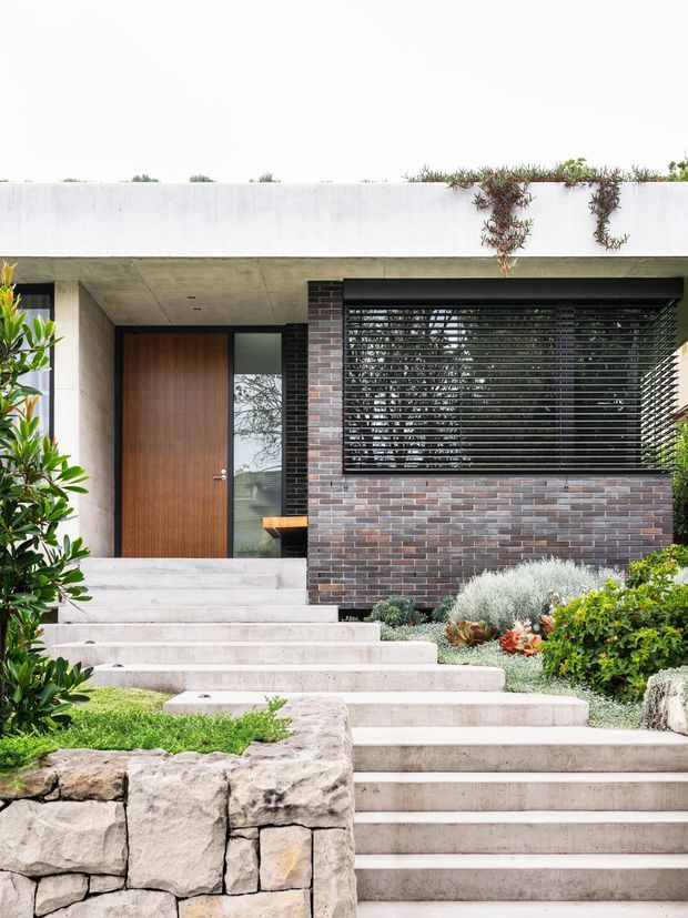 Front exterior view of a contemporary flat-roofed home with a minimalist concrete entry canopy, broad pale concrete steps, dark brick feature wall, timber entry door, black horizontal louvres, and carefully planted landscaping. The facade combines strong horizontal lines with a restrained neutral palette and a planted roof edge.